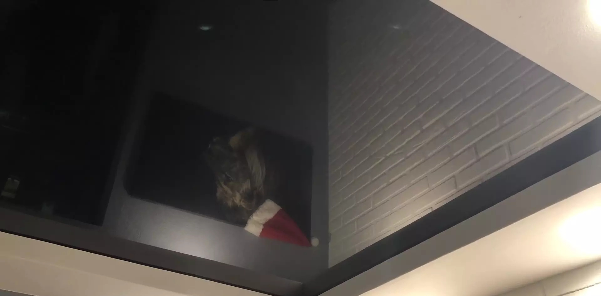 Мурманск, улица Академика Книповича, 25, фото 3