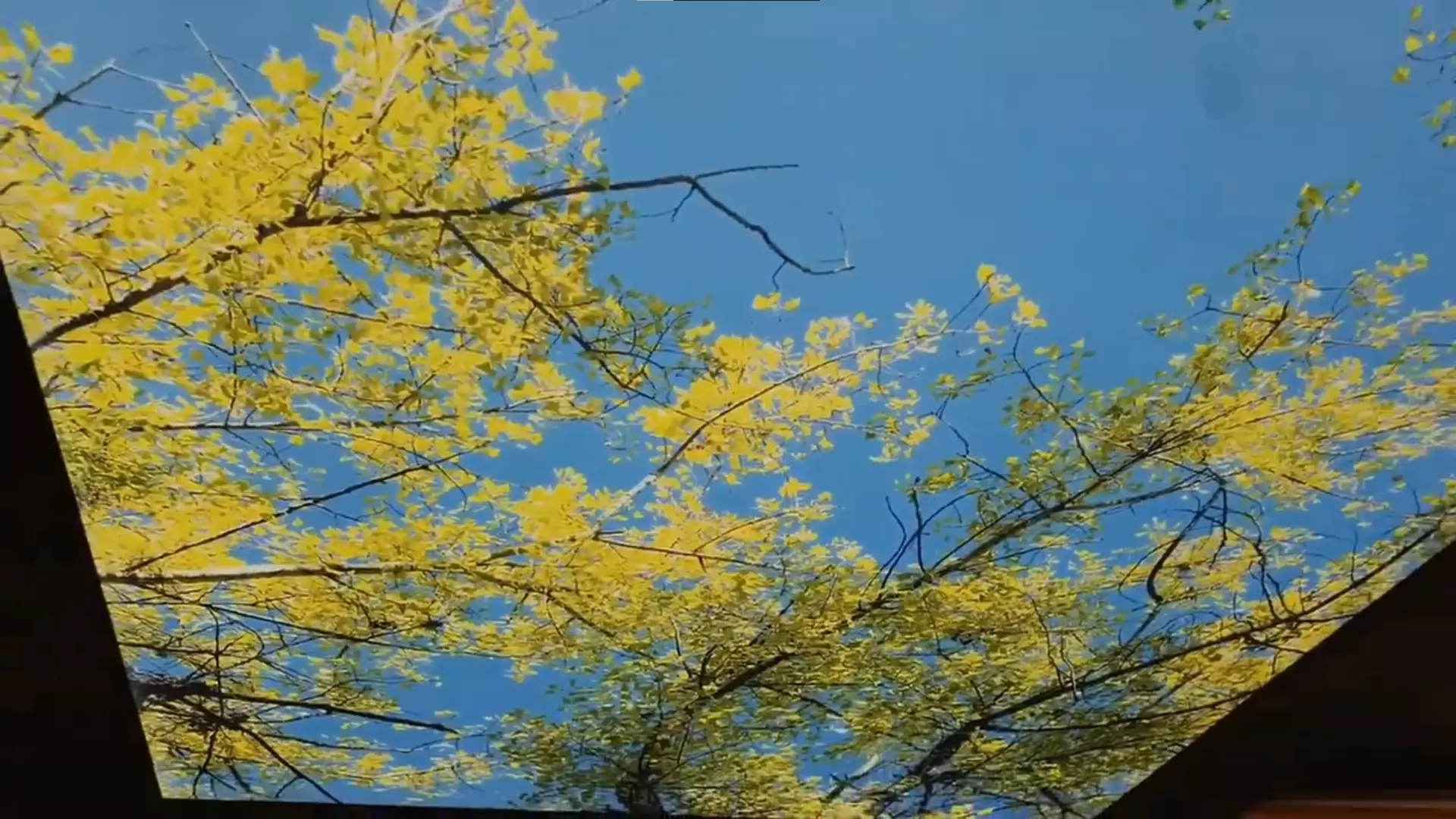 Балаково, , фото 2