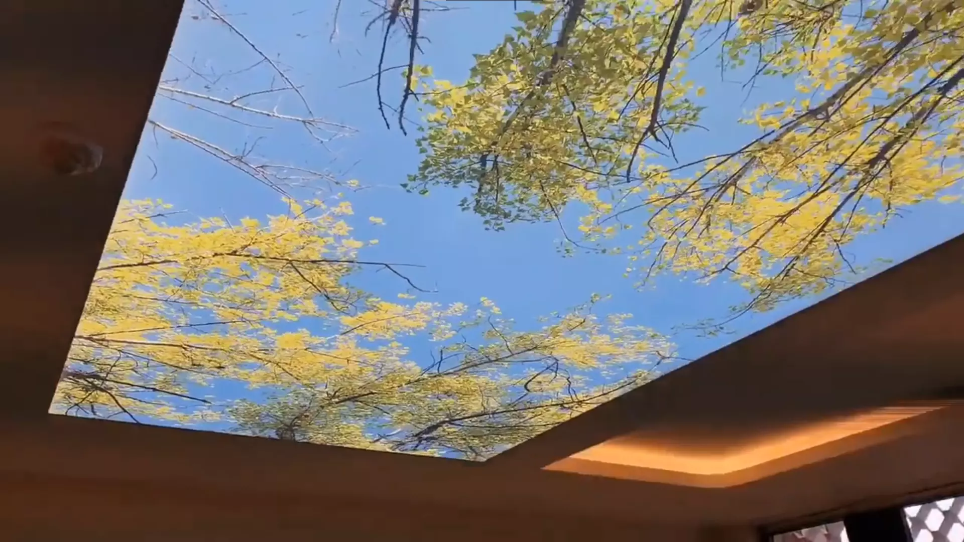 Балаково, , фото 3